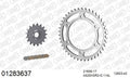 AFAM XS-ring Extra Reinforced Chain & Steel Sprocket Kit, 525 (OE Pitch) - Plain Steel 114 link XS-ring Extra Reinforced chain, 17T steel/42