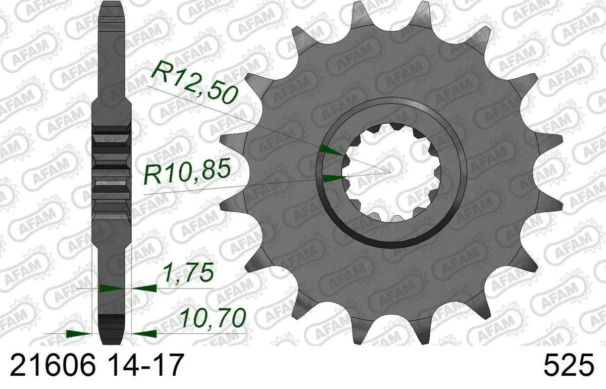 AFAM XS-ring Extra Reinforced Chain & Steel Sprocket Kit, 525 (OE Pitch) - Plain Steel 114 link XS-ring Extra Reinforced chain, 17T steel/42
