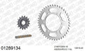 AFAM XS-ring Hyper reinforced Chain & Rubber Damped Steel Sprocket Kit, 525 (OE Pitch) - Gold 114 link XS-ring Hyper reinforced chain, 16T R – Yamaha MT-10 (1000cc) 2016–2021 / Yamaha Tracer 700 / GT 2016–2019