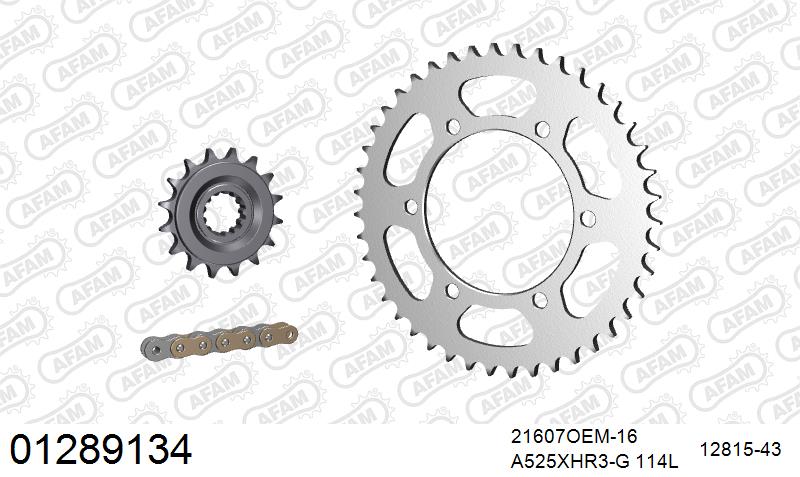 AFAM XS-ring Hyper reinforced Chain & Rubber Damped Steel Sprocket Kit, 525 (OE Pitch) - Gold 114 link XS-ring Hyper reinforced chain, 16T R – Yamaha MT-10 (1000cc) 2016–2021 / Yamaha Tracer 700 / GT 2016–2019