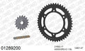 AFAM XS-ring super reinforced Chain & Steel Sprocket Kit, 530 (OE Pitch) - Gold 118 link XS-ring super reinforced chain, 17T steel/47T Steel