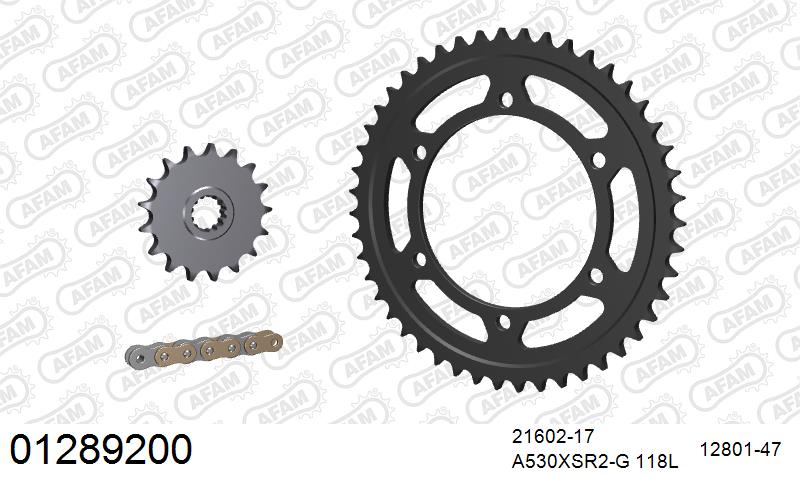 AFAM XS-ring super reinforced Chain & Steel Sprocket Kit, 530 (OE Pitch) - Gold 118 link XS-ring super reinforced chain, 17T steel/47T Steel