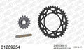 AFAM XS-ring Hyper reinforced Chain & Rubber Damped Steel Sprocket Kit, 525 (OE Pitch) - Gold 114 link XS-ring Hyper reinforced chain, 16T R – Yamaha YZF-R1 / M 2015–2023