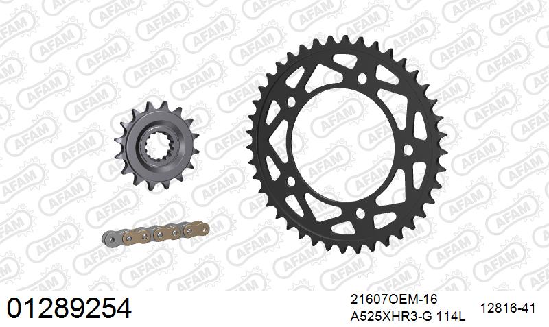 AFAM XS-ring Hyper reinforced Chain & Rubber Damped Steel Sprocket Kit, 525 (OE Pitch) - Gold 114 link XS-ring Hyper reinforced chain, 16T R – Yamaha YZF-R1 / M 2015–2023