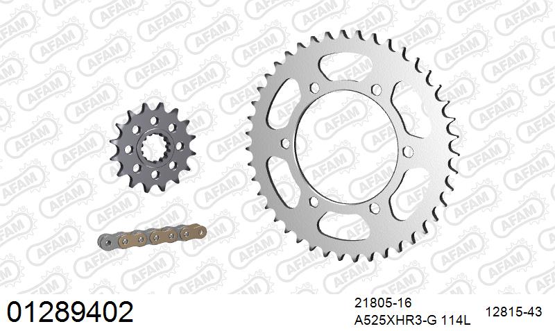 AFAM XS-ring Hyper reinforced Chain & Steel Sprocket Kit, 525 conversion - Gold 114 link XS-ring Hyper reinforced chain, 16T steel/43T Steel