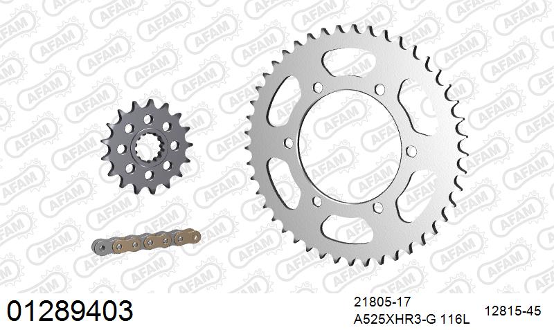 AFAM XS-ring Hyper reinforced Chain & Steel Sprocket Kit, 525 conversion - Gold 116 link XS-ring Hyper reinforced chain, 17T steel/45T Steel