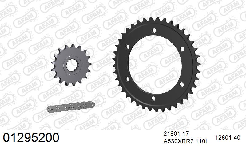 AFAM XS-ring Extra Reinforced Chain & Steel Sprocket Kit, 530 (OE Pitch) - Plain Steel 110 link XS-ring Extra Reinforced chain, 17T steel/40 – Yamaha FJ1200 1988–1995