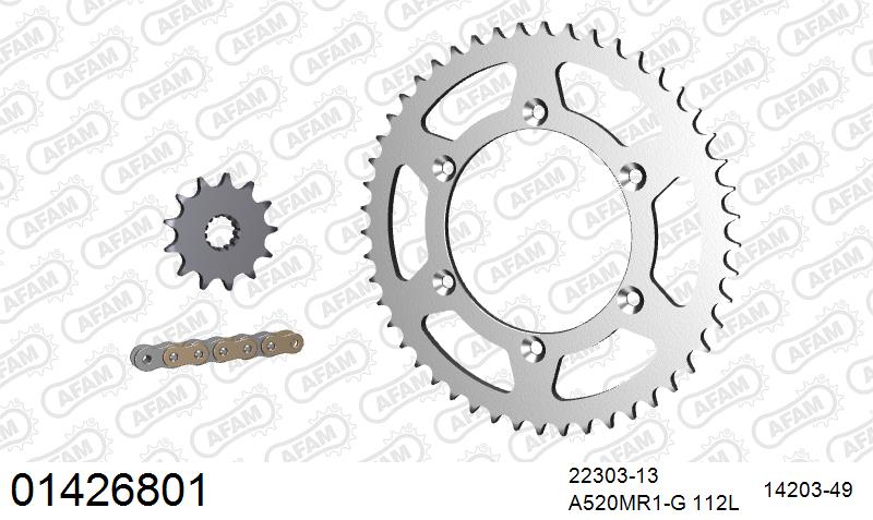 AFAM MX reinforced Chain & Steel Sprocket Kit, 520 (OE Pitch) - Gold 112 link MX reinforced chain, 13T steel/49T Steel sprockets – Suzuki RM250 1996