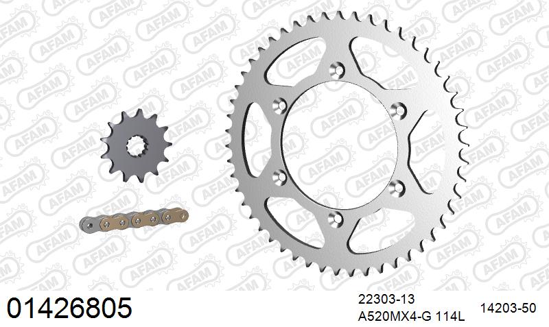 AFAM MX Racing GP Chain & Steel Sprocket Kit, 520 (OE Pitch) - Gold 114 link MX Racing GP chain, 13T steel/50T Steel sprockets – Suzuki RM250 1997–2008