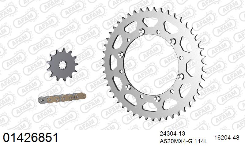 AFAM MX Racing GP Chain & Steel Sprocket Kit, 520 (OE Pitch) - Gold 114 link MX Racing GP chain, 13T steel/48T Steel sprockets – Kawasaki KX250F 2004–2005 / Suzuki RM-Z 250 2004–2006