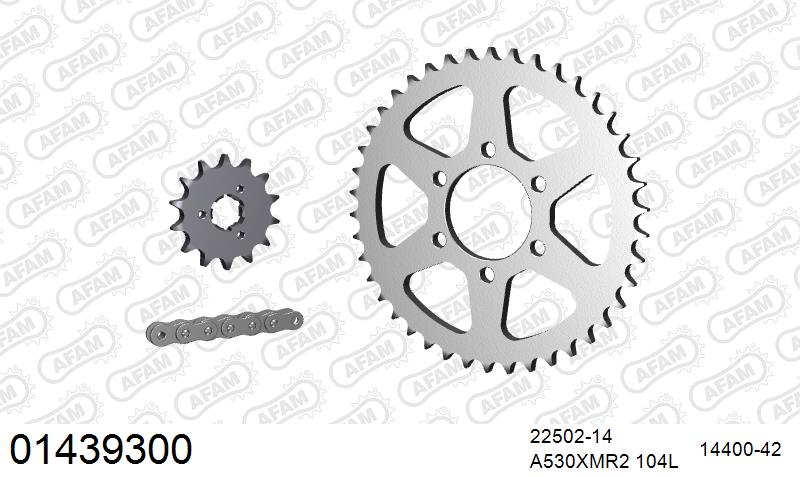 AFAM XS-ring Extra Reinforced Chain & Steel Sprocket Kit, 530 (OE Pitch) - Plain Steel 104 link XS-ring Extra Reinforced chain, 14T steel/42 – Suzuki GT380 1974–1977