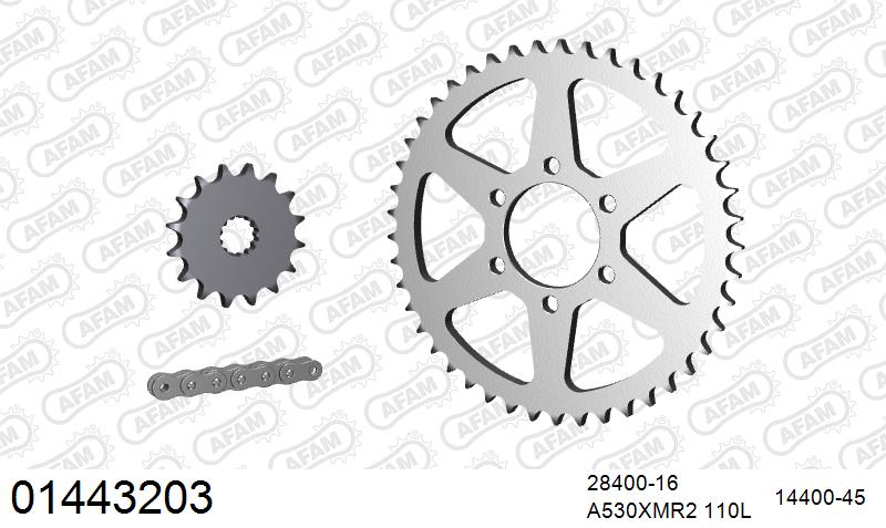 AFAM XS-ring Extra Reinforced Chain & Steel Sprocket Kit, 530 (OE Pitch) - Plain Steel 110 link XS-ring Extra Reinforced chain, 16T steel/45 – Suzuki GS450S / L / T 1982–1988 / Suzuki GSX400S / L / E / F 1982–1987