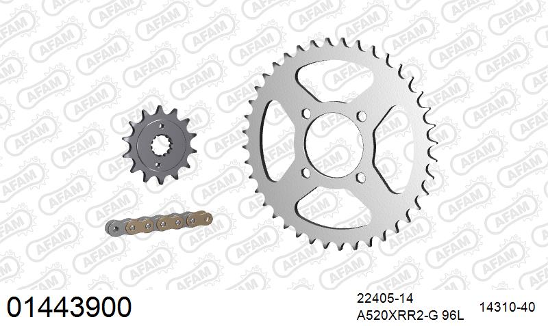 AFAM Xs-Ring Reinforced Plus Chain & Steel Sprocket Kit, 520 (OE Pitch) - Gold 96 link Xs-Ring Reinforced Plus chain, 14T steel/40T Steel sp – Kawasaki KSF 400 A1,A2,A3,A6F 2003–2006 / Suzuki LTZ400 ATV 2003–2008