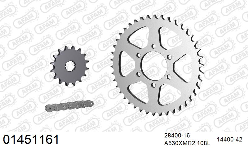 AFAM XS-ring Extra Reinforced Chain & Steel Sprocket Kit, 530 (OE Pitch) - Plain Steel 108 link XS-ring Extra Reinforced chain, 16T steel/42 – Suzuki GS450S / L / T 1980–1987