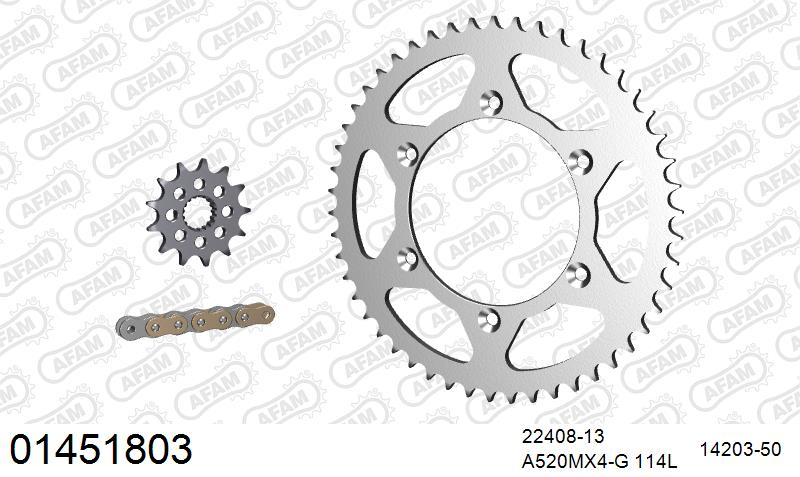 AFAM MX Racing GP Chain & Steel Sprocket Kit, 520 (OE Pitch) - Gold 114 link MX Racing GP chain, 13T steel/50T Steel sprockets – Suzuki RM-Z 450 2017–2026