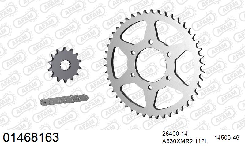 AFAM XS-ring Extra Reinforced Chain & Steel Sprocket Kit, 530 (OE Pitch) - Plain Steel 112 link XS-ring Extra Reinforced chain, 14T steel/46 – Suzuki GS550L 1983–1982 / Suzuki GSX550ES / EF 1983–1987