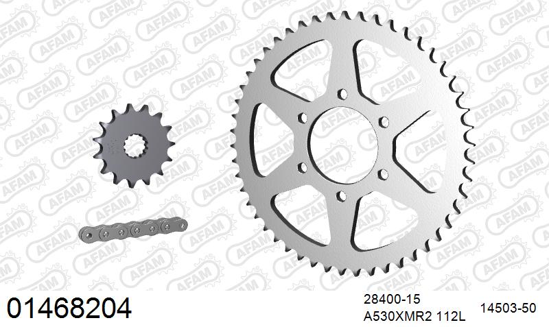 AFAM XS-ring Extra Reinforced Chain & Steel Sprocket Kit, 530 (OE Pitch) - Plain Steel 112 link XS-ring Extra Reinforced chain, 15T steel/50