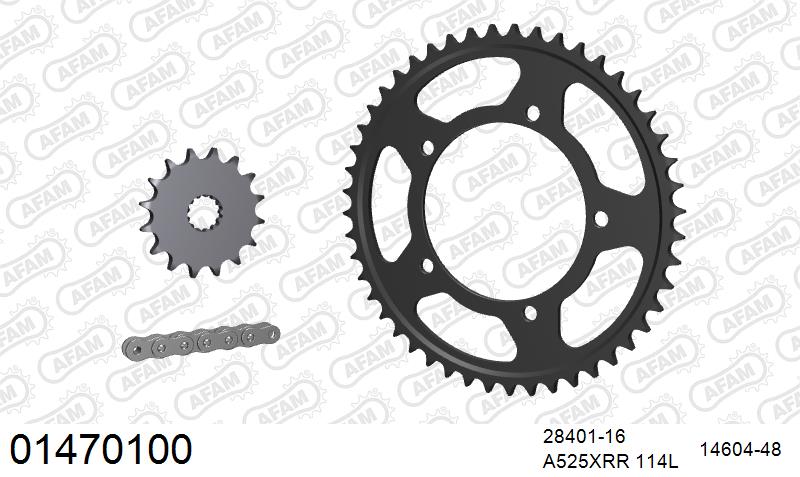 AFAM XS-ring Extra Reinforced Chain & Steel Sprocket Kit, 525 (OE Pitch) - Plain Steel 114 link XS-ring Extra Reinforced chain, 16T steel/48
