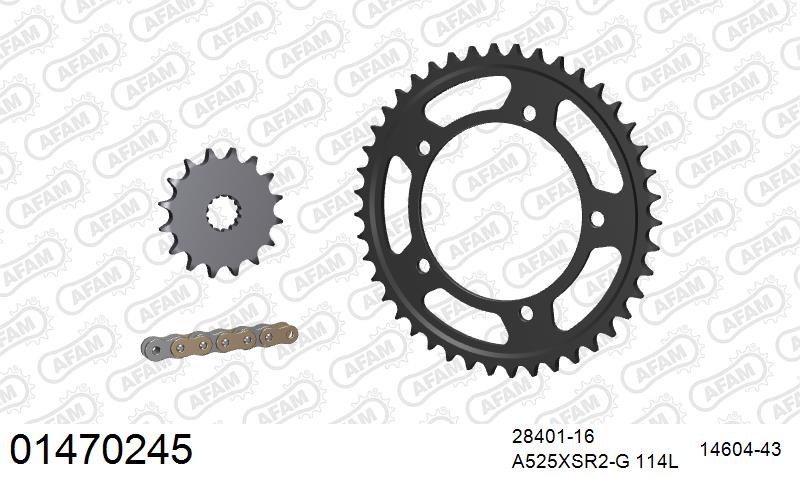 AFAM XS-ring Extra Reinforced Chain & Steel Sprocket Kit, 525 (OE Pitch) - Plain Steel 114 link XS-ring Extra Reinforced chain, 16T steel/43 – Suzuki GSX-R600 2006–2010