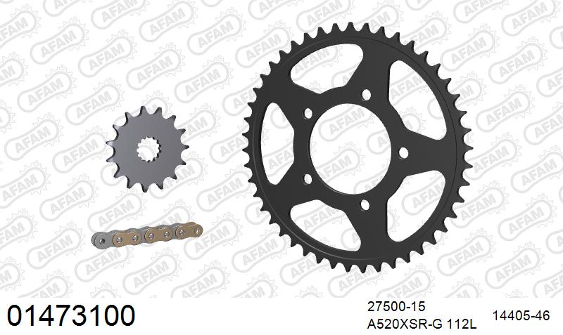 AFAM XS-ring super reinforced Chain & Steel Sprocket Kit, 520 (OE Pitch) - Gold 112 link XS-ring super reinforced chain, 15T steel/46T Steel – Suzuki Gladius 650 2009–2016