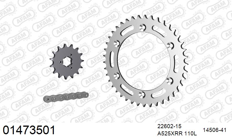 AFAM XS-ring Extra Reinforced Chain & Steel Sprocket Kit, 525 (OE Pitch) - Plain Steel 110 link XS-ring Extra Reinforced chain, 15T steel/41 – Suzuki DR650 1996–2006