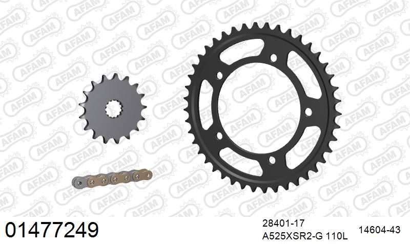 AFAM XS-ring super reinforced Chain & Steel Sprocket Kit, 525 (OE Pitch) - Gold 110 link XS-ring super reinforced chain, 17T steel/43T Steel