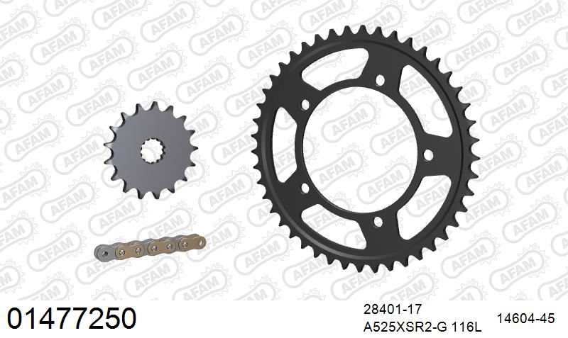 AFAM XS-ring super reinforced Chain & Steel Sprocket Kit, 525 (OE Pitch) - Gold 116 link XS-ring super reinforced chain, 17T steel/45T Steel – Suzuki GSX-R750 2006–2010