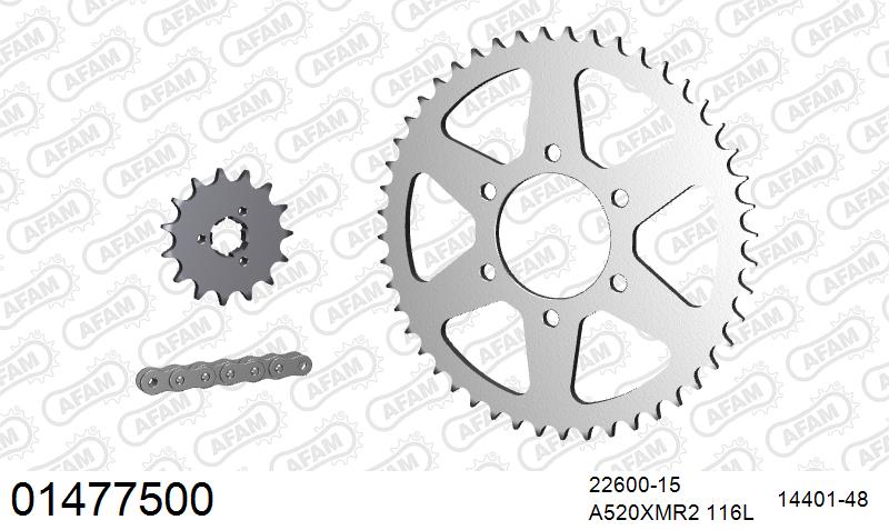 AFAM XS-ring Extra Reinforced Chain & Steel Sprocket Kit, 520 (OE Pitch) - Plain Steel 116 link XS-ring Extra Reinforced chain, 15T steel/48 – Suzuki DR750 / 800 1988