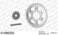 AFAM XS-ring Extra Reinforced Chain & Steel Sprocket Kit, 530 (OE Pitch) - Plain Steel 110 link XS-ring Extra Reinforced chain, 15T steel/43 – Suzuki RF900R 1994–1999