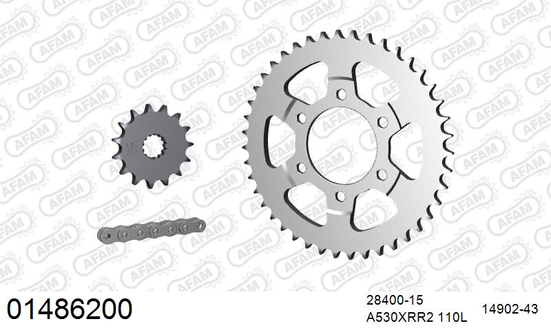 AFAM XS-ring Extra Reinforced Chain & Steel Sprocket Kit, 530 (OE Pitch) - Plain Steel 110 link XS-ring Extra Reinforced chain, 15T steel/43 – Suzuki RF900R 1994–1999