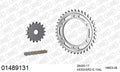 AFAM XS-ring super reinforced Chain & Steel Sprocket Kit, 530 (OE Pitch) - Gold 104 link XS-ring super reinforced chain, 17T steel/38T Steel