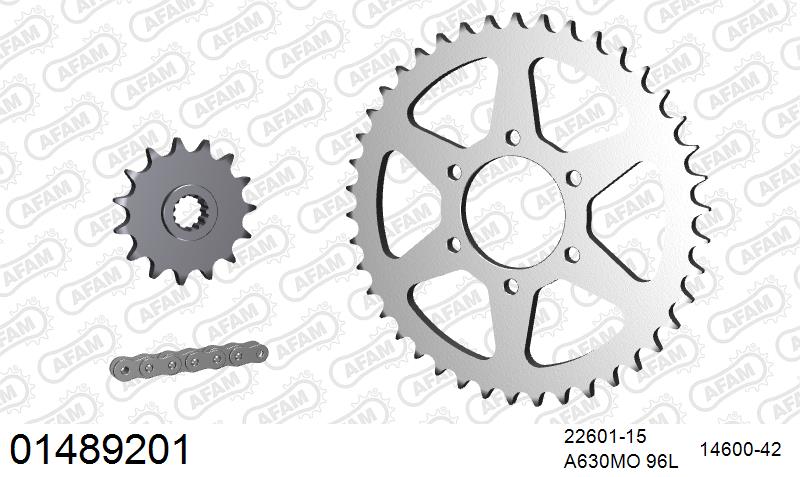 AFAM O-ring reinforced Chain & Steel Sprocket Kit, 630 (OE Pitch) - Plain Steel 96 link O-ring reinforced chain, 15T steel/42T Steel sprocke