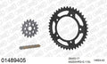 AFAM XS-ring Hyper reinforced Chain & Steel Sprocket Kit, 525 conversion - Gold 110 link XS-ring Hyper reinforced chain, 17T steel/42T Steel