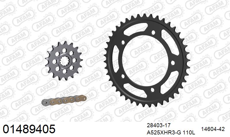 AFAM XS-ring Hyper reinforced Chain & Steel Sprocket Kit, 525 conversion - Gold 110 link XS-ring Hyper reinforced chain, 17T steel/42T Steel