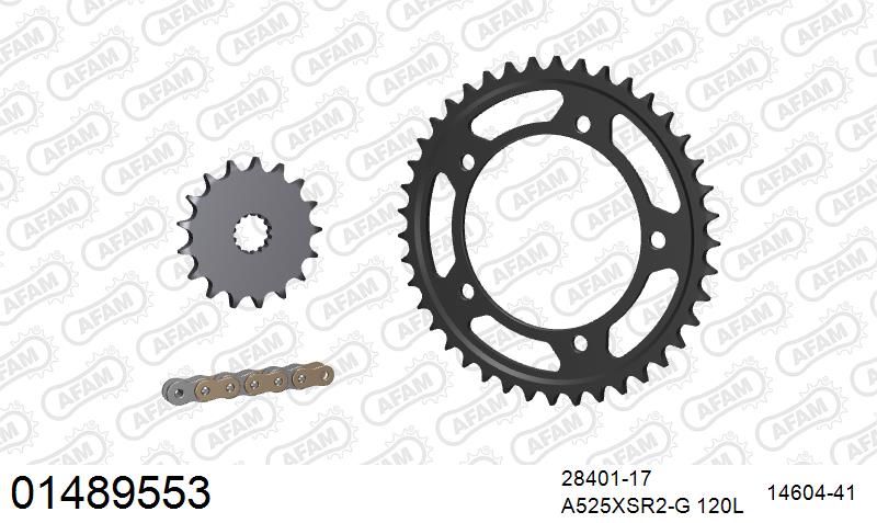 AFAM XS-ring super reinforced Chain & Steel Sprocket Kit, 525 (OE Pitch) - Gold 116 link XS-ring super reinforced chain, 17T steel/41T Steel – Suzuki V-Strom 1000 2014–2019