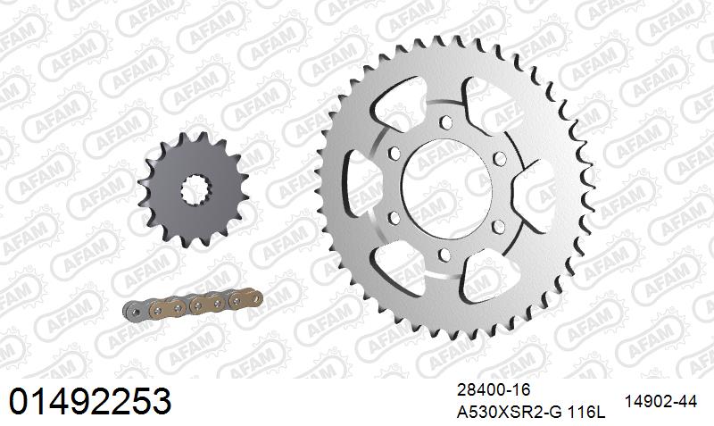 AFAM XS-ring super reinforced Chain & Steel Sprocket Kit, 530 (OE Pitch) - Gold 116 link XS-ring super reinforced chain, 16T steel/44T Steel – Suzuki GSX-R1100 1995–1996