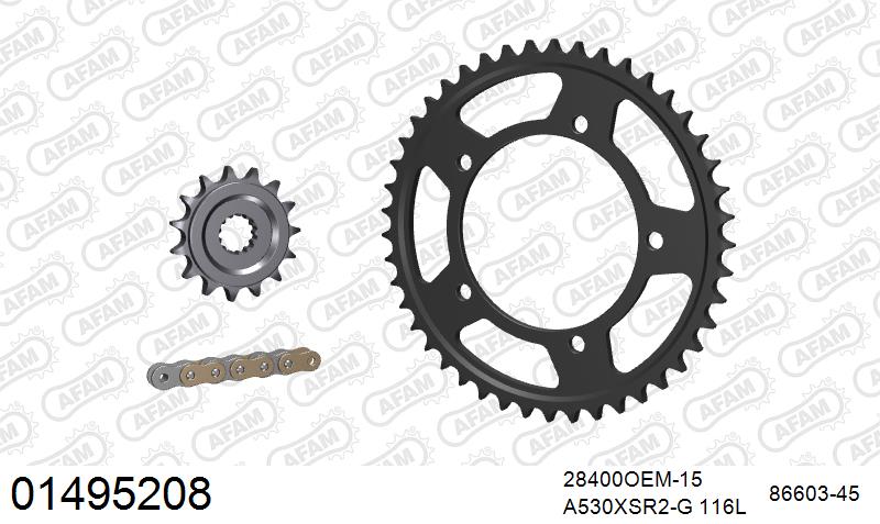 AFAM XS-ring super reinforced Chain & Rubber Damped Steel Sprocket Kit, 530 (OE Pitch) - Gold 116 link XS-ring super reinforced chain, 15T R