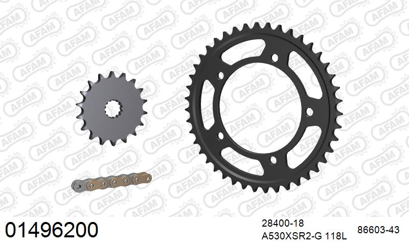 AFAM XS-ring super reinforced Chain & Steel Sprocket Kit, 530 (OE Pitch) - Gold 118 link XS-ring super reinforced chain, 18T steel/43T Steel – Suzuki GSF1250 Bandit / GT 2007–2010 / Suzuki GSX1250F / FA 2010–2016