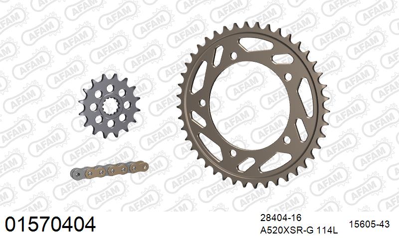 AFAM XS-ring super reinforced Chain & Alu Sprocket Kit, 520 conversion - Gold 114 link XS-ring super reinforced chain, 16T steel/43T Alu spr – Suzuki GSX-R600 2006–2010