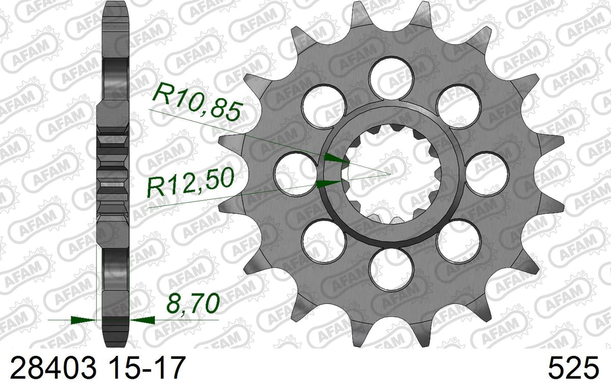 AFAM XS-ring Hyper reinforced Chain & Alu Sprocket Kit, 525 conversion - Gold 110 link XS-ring Hyper reinforced chain, 17T steel/42T Alu spr