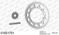 AFAM Xs-Ring Reinforced Plus Chain & Steel Sprocket Kit, 520 (OE Pitch) - Gold 112 link Xs-Ring Reinforced Plus chain, 13T steel/48T Steel s
