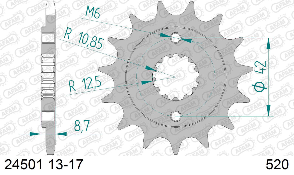 AFAM XS-ring Extra Reinforced Chain & Steel Sprocket Kit, 520 (OE Pitch) - Plain Steel 106 link XS-ring Extra Reinforced chain, 17T steel/42