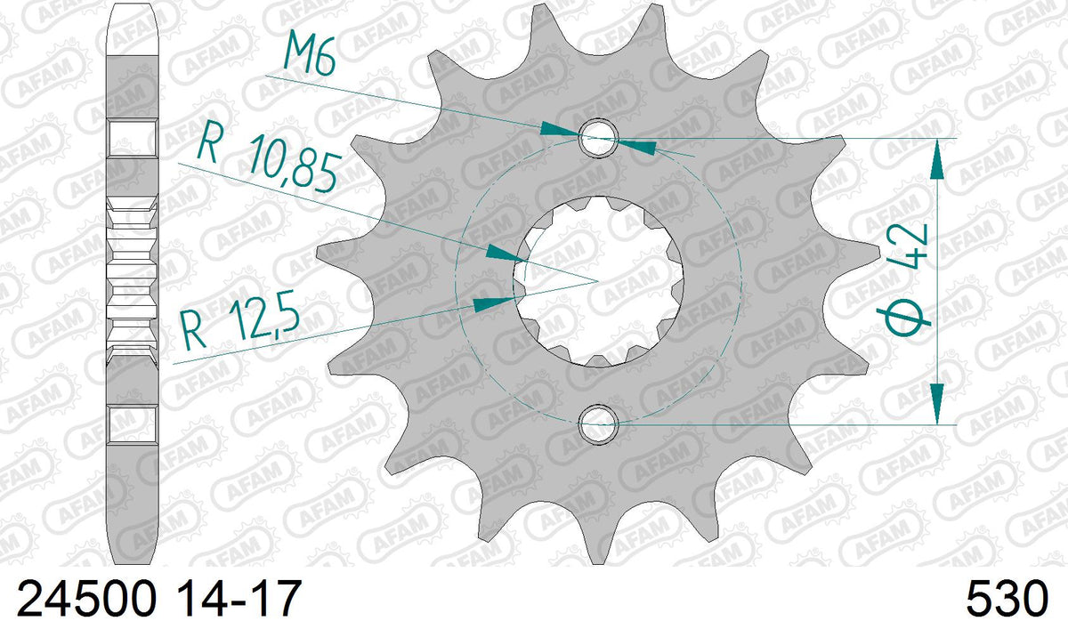 AFAM Reinforced Chain & Steel Sprocket Kit, 530 (OE Pitch) - Plain Steel 102 link Reinforced chain, 15T steel/39T Steel sprockets