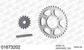 AFAM XS-ring Extra Reinforced Chain & Steel Sprocket Kit, 530 (OE Pitch) - Plain Steel 102 link XS-ring Extra Reinforced chain, 16T steel/40 – Kawasaki Z650 SR 1979