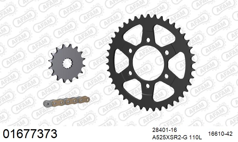 AFAM XS-ring super reinforced Chain & Steel Sprocket Kit, 525 (OE Pitch) - Gold 110 link XS-ring super reinforced chain, 16T steel/42T Steel sprockets