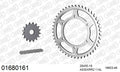 AFAM XS-ring Extra Reinforced Chain & Steel Sprocket Kit, 530 (OE Pitch) - Plain Steel 114 link XS-ring Extra Reinforced chain, 16T steel/46