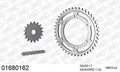 AFAM XS-ring Extra Reinforced Chain & Steel Sprocket Kit, 530 (OE Pitch) - Plain Steel 112 link XS-ring Extra Reinforced chain, 17T steel/42