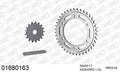 AFAM XS-ring Extra Reinforced Chain & Steel Sprocket Kit, 530 (OE Pitch) - Plain Steel 112 link XS-ring Extra Reinforced chain, 17T steel/40