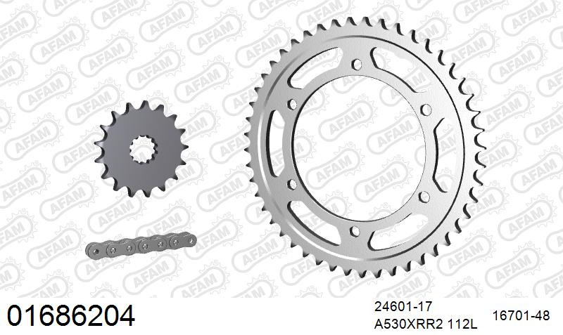AFAM XS-ring Extra Reinforced Chain & Steel Sprocket Kit, 530 (OE Pitch) - Plain Steel 112 link XS-ring Extra Reinforced chain, 17T steel/48 – Kawasaki GPZ900R 1990–1996