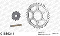 AFAM XS-ring super reinforced Chain & Steel Sprocket Kit, 530 (OE Pitch) - Gold 112 link XS-ring super reinforced chain, 16T steel/44T Steel